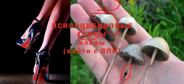 МДМА Медвежьегорск