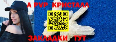 стаф Гатчина