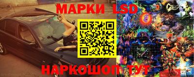 крисы Гагарин