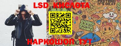 стаф Гатчина