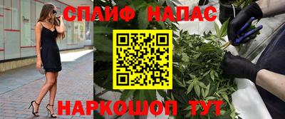 крисы Гагарин