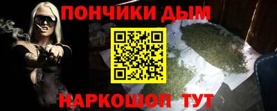 стаф Гатчина
