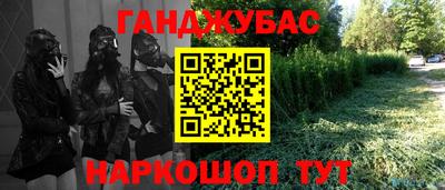 стаф Гатчина