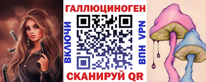 Псилоцибиновые грибы Cubensis  Нефтекумск 