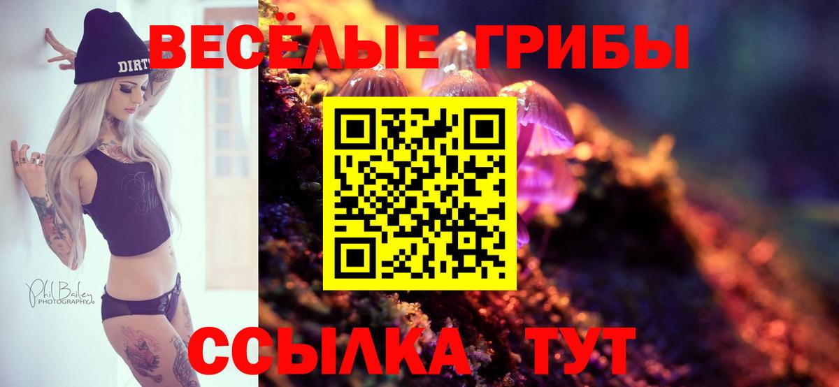 Псилоцибиновые грибы прущие грибы  Вход с VPN  продажа наркотиков  Нефтекумск 